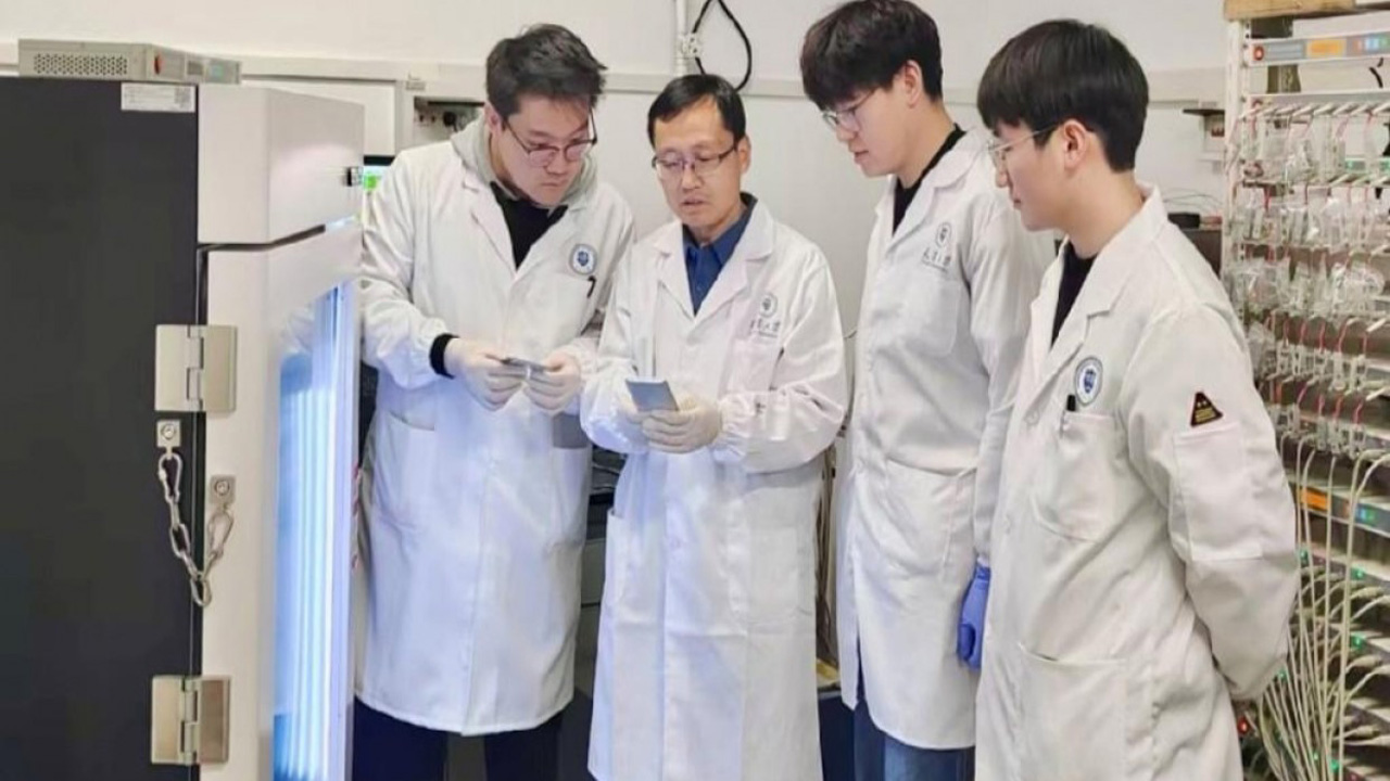 Chinese Scientists Develop Plastic-Based EV Battery with Promising Performance
